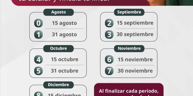 Anuncian calendario y fechas límite para registro de líneas