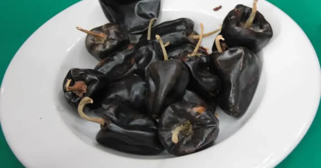 Chile chilhuacle, el ingrediente emblemático que da identidad al mole negro de Oaxaca