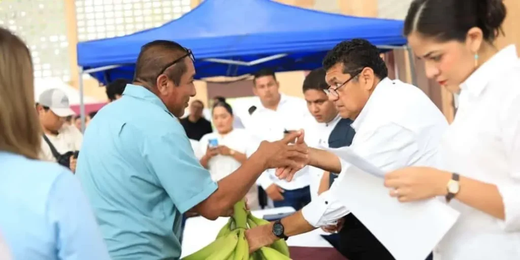 Programa Sembrando Vida Tabasco beneficia agricultura local