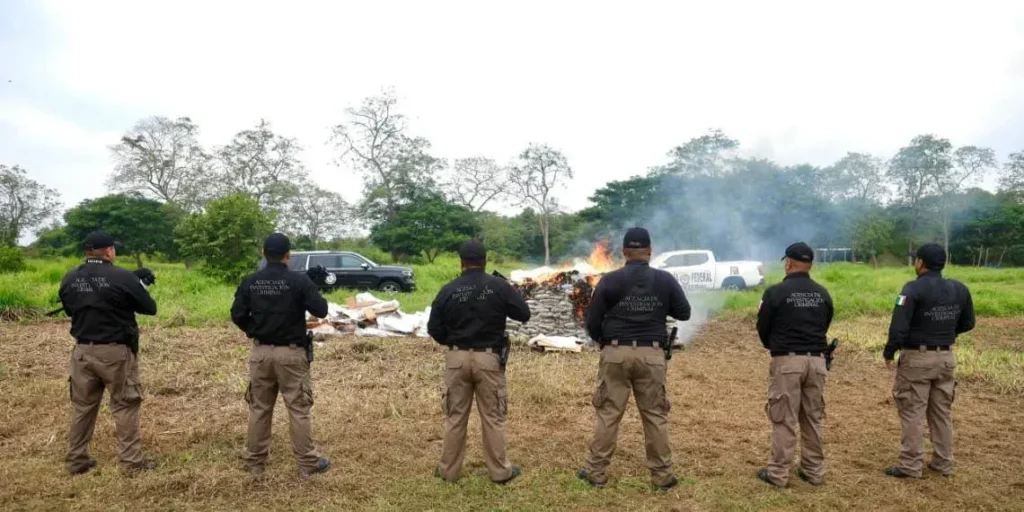 Aseguramientos de droga y desarticulación en Tabasco