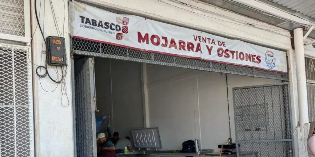 Pescando Vida proyecta vender 8 toneladas de tilapia al mes