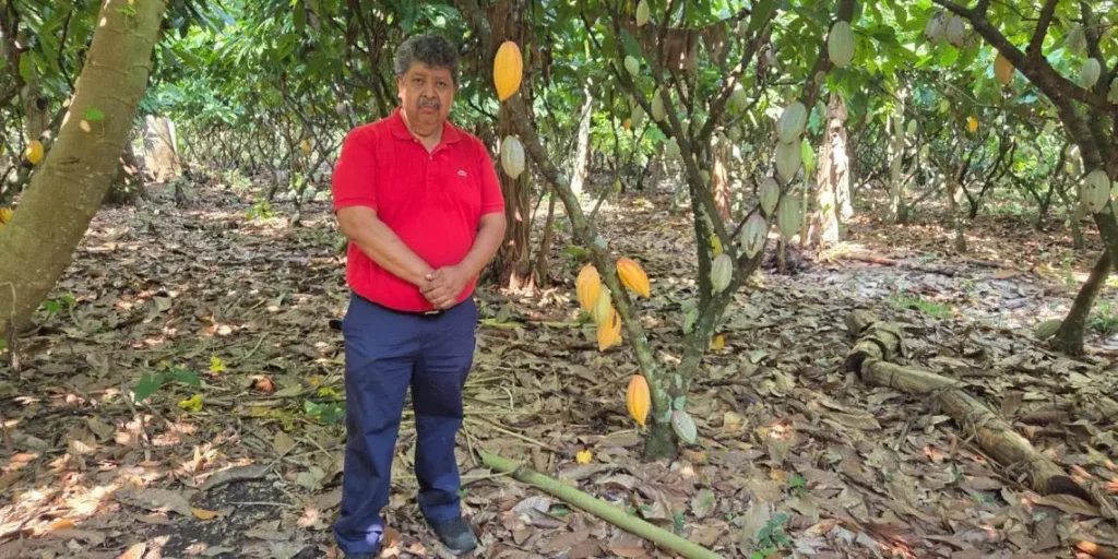 Rescatar al cacao desde la genética