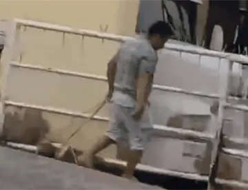 Senadora Alejandra Arias interviene en caso de maltrato animal en Macuspana; exige sanción al responsable