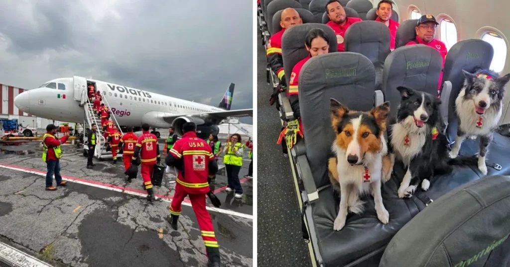 Cruz Roja Mexicana envía equipo USAR a Venezuela tras los devastadores sismos