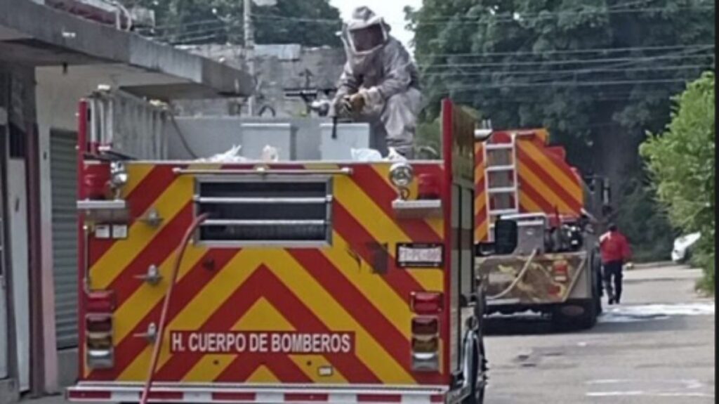 Muere persona tras ataque de abejas africanas en Bosques de Saloya