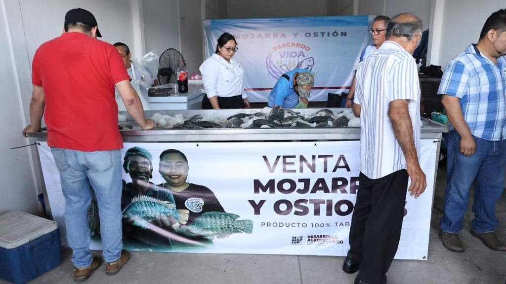 Prevén venta de ocho toneladas mensuales de mojarra de Pescando Vida