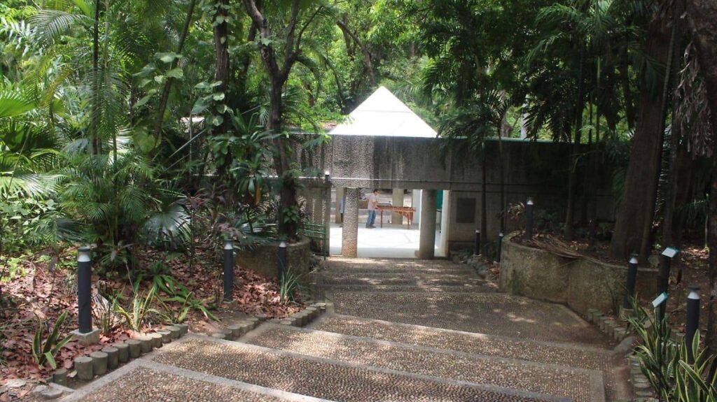 Remodelación no detiene visitas al Parque Museo La Venta