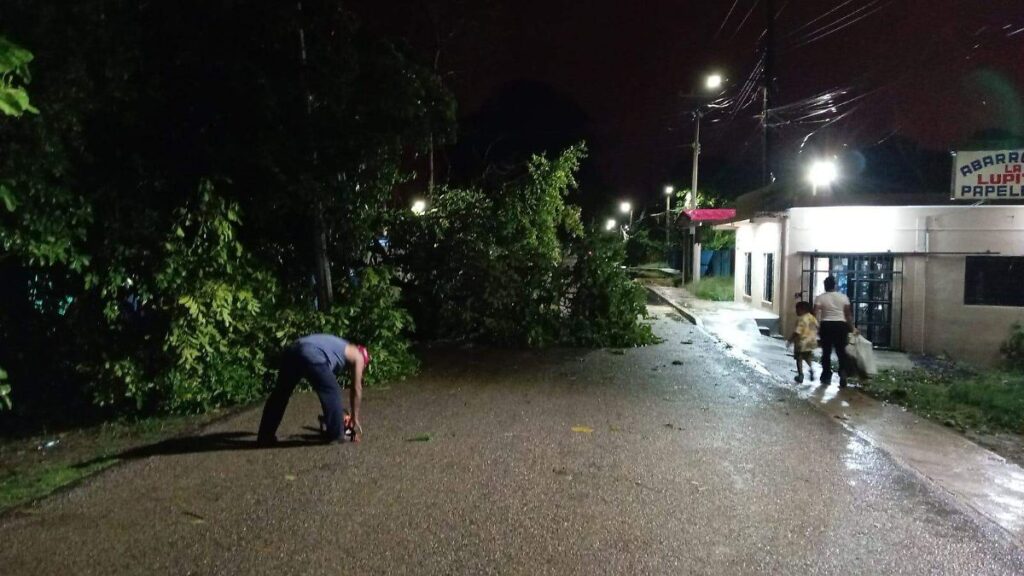 Repentina lluvia sorprende a tabasqueños con caída de árboles y rayos