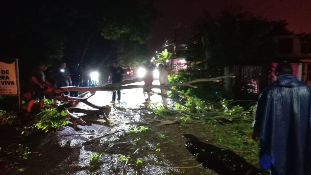 Árboles, postes y cables caídos dejan lluvias nocturnas en Tabasco
