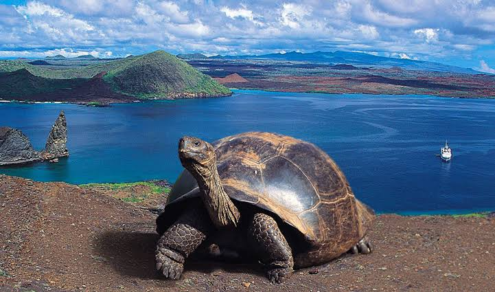 Si viajas a Ecuador ¿Qué atractivos son los imperdibles?