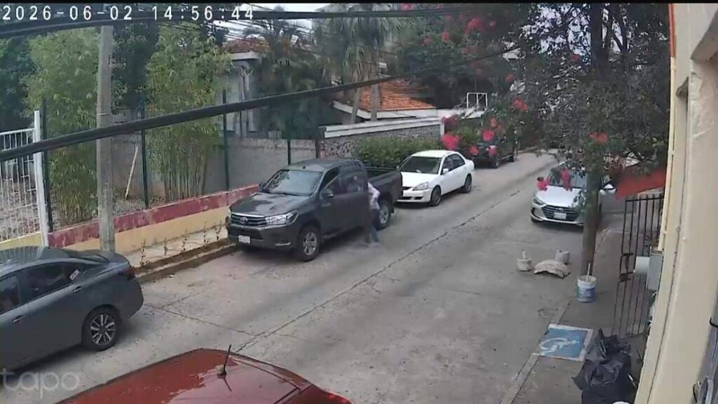 Captan robo de plantas en jardineras del fraccionamiento Lagos de las Ilusiones