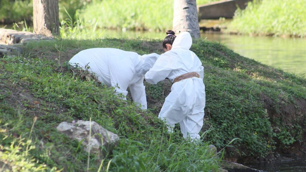 Hallan a hombre ejecutado a balazos en Comalcalco
