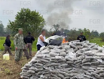 Destruyen autoridades casi una tonelada de narcóticos asegurados en Tabasco