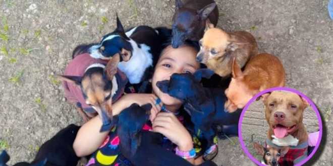 Niña duerme con sus mejores amigos
