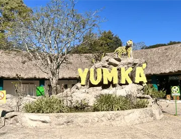 Animales de La Venta ya fueron trasladados al Yumká por remodelación