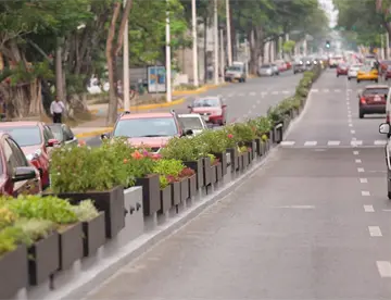 Censarán árboles de Paseo Tabasco ante posible tala por Villahermosa 2030