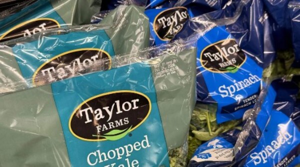 Salud descarta contaminación en lechugas de Taylor Farms México