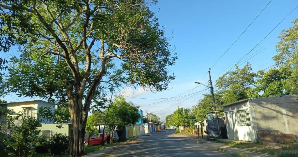 Calor por el día, lluvia por la tarde