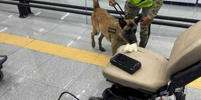 Fuerzas federales aseguran más de 156 toneladas de mercancías ilícitas