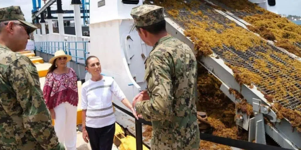 Plan integral contra el sargazo en Quintana Roo