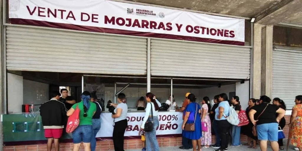 Inauguración de punto de venta de Pescando Vida en Cunduacán