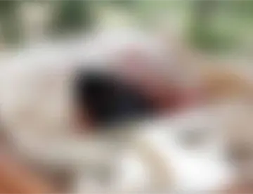 Abandonan camioneta con 2 cuerpos sin vida y mensaje de amenaza en Huimanguillo