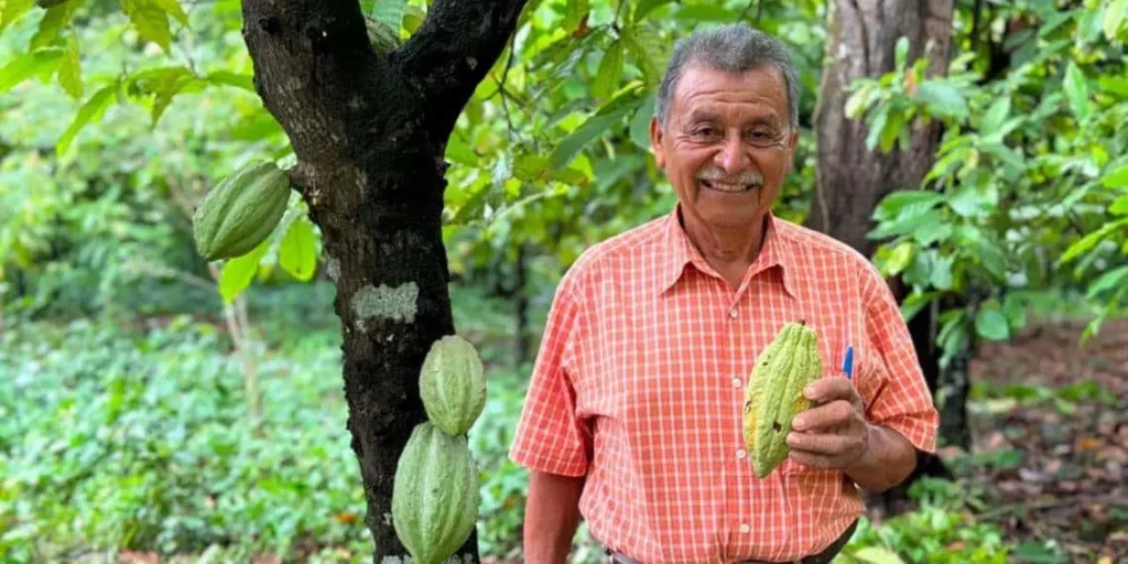 Programa de Fortalecimiento de Cacao en Tabasco