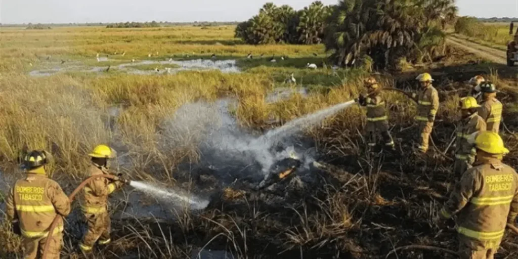 Tabasco impactado por incendios forestales 2026