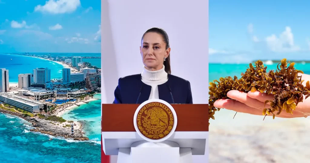 Anuncian a grupo de expertos que atenderá el tema de sargazo