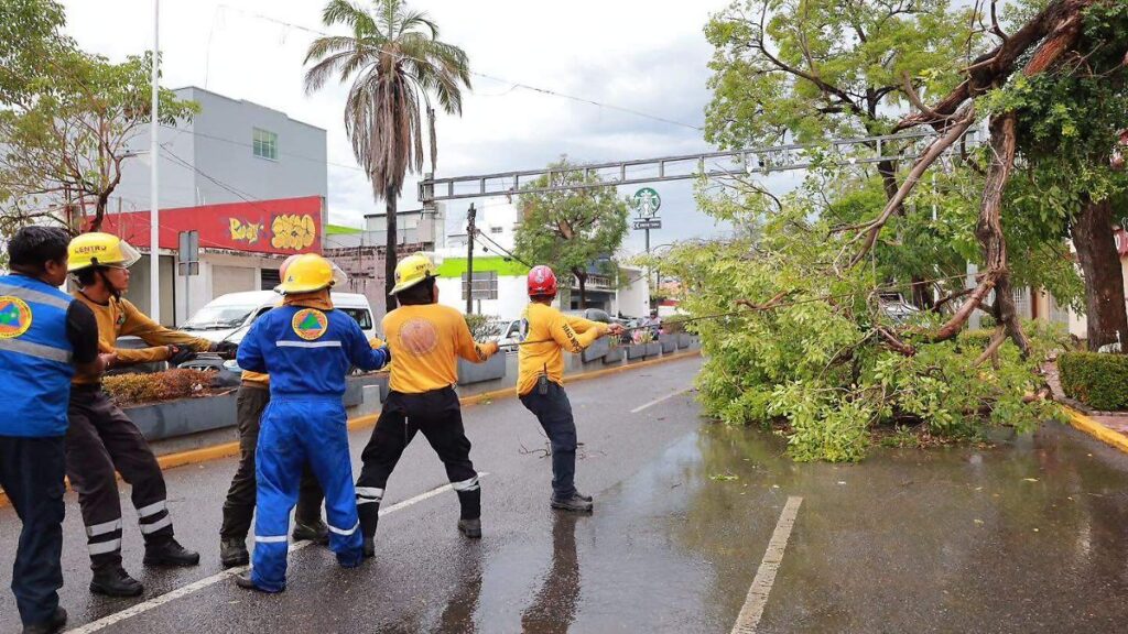 Ventarrón evidencia riesgo de arbolado antiguo sobre Paseo Tabasco