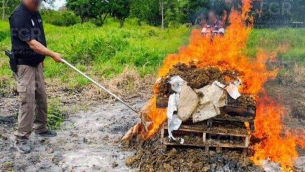 FGR destruye más de 82 kilos de droga en Tabasco