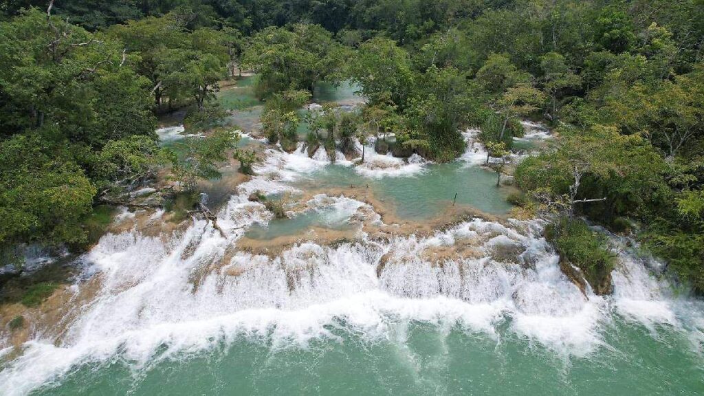 Reserva Ecológica Cascadas de Reforma cierra tras lesiones por ataque animal