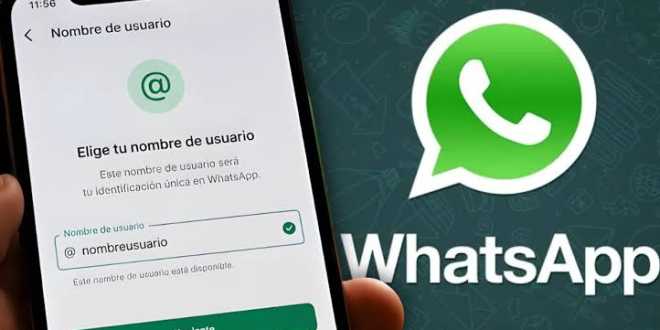 WhatsApp lanza nombres de usuario: así funcionará la nueva herramienta para proteger tu privacidad