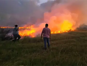 Fuerte incendio de pastizal en Jonuta afecta 60 hectáreas