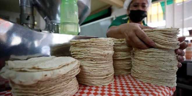 Cumplen 40 % de tortillerías con precios