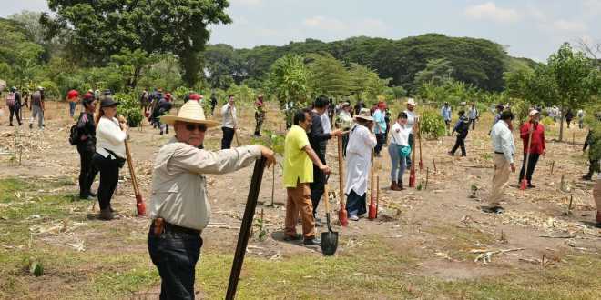 Tabasco se suma a la Jornada Nacional de Reforestación con 843 puntos y casi 2 mil participantes