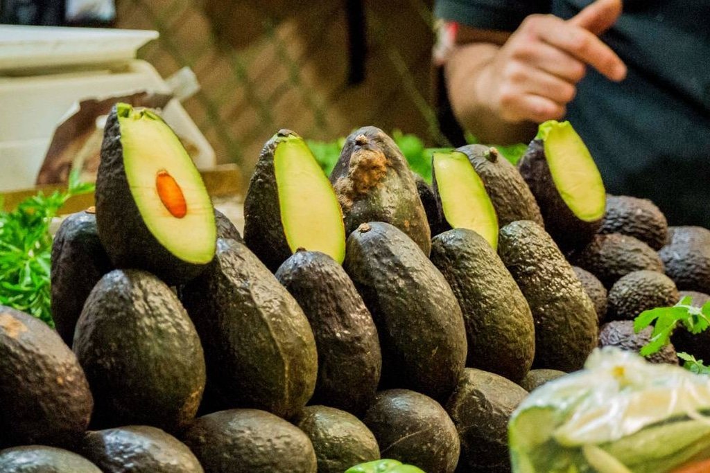 Exportaciones de aguacate mexicano a EU crecen 35% en 2026