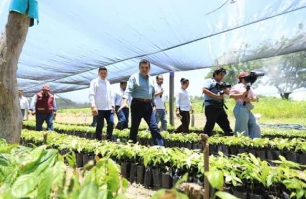 Lanzan «Capital Semilla Comalcalco 2026» para fortalecer pequeños negocios