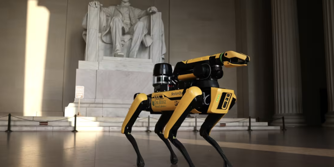 ICE planea invertir 2 millones de dólares en perros robots para operativos