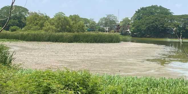 Afecta sequía atípica a laguna La Encantada