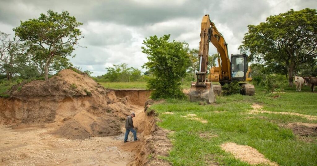 Se pierde el 95% de la selva nativa