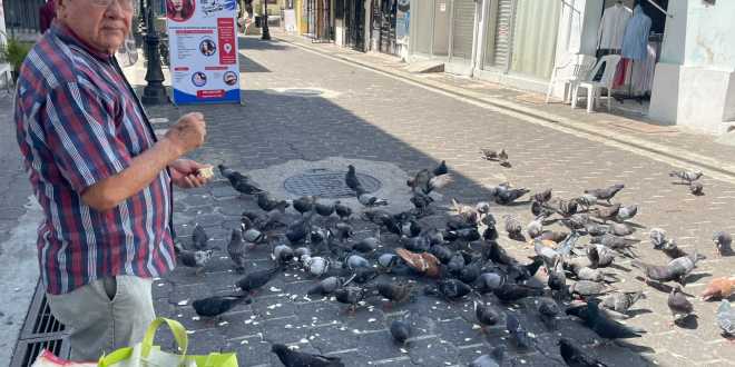 Don César, el ángel de las palomas del Barrio Mágico