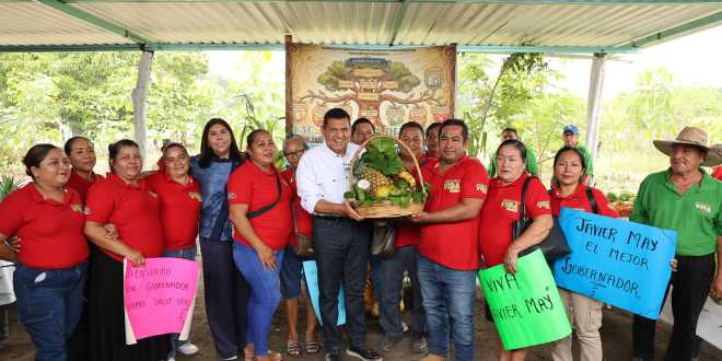 De parcelas enmontadas a campos cultivados de árboles frutales y maderables, con Sembrando Vida el Edén florece