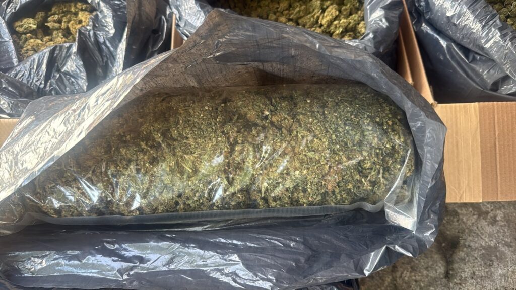 FGR inicia investigación contra una persona detenida con aproximadamente 300 kilos de narcótico en Huimanguillo