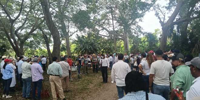 TABASCO SE PREPARA PARA LA JORNADA NACIONAL DE REFORESTACIÓN 2026