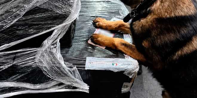 Marina y ANAM aseguran más de 5.8 millones de cigarros apócrifos en el AICM