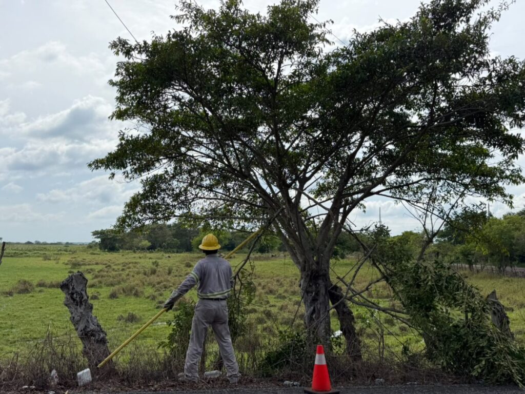 Supervisan SEMADES y CFE avances en infraestructura eléctrica para optimizar el servicio en La Venta, Huimanguillo