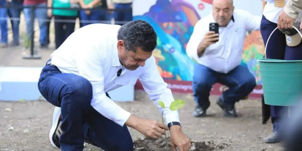 Sembrando Vida: Reforestación en Tabasco