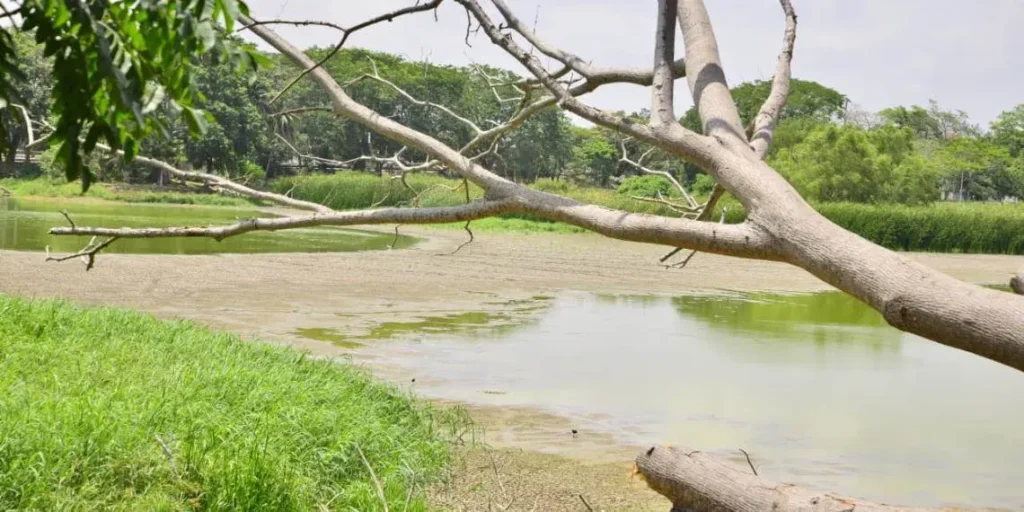 Denuncian extracción irregular de agua en Laguna Encantada