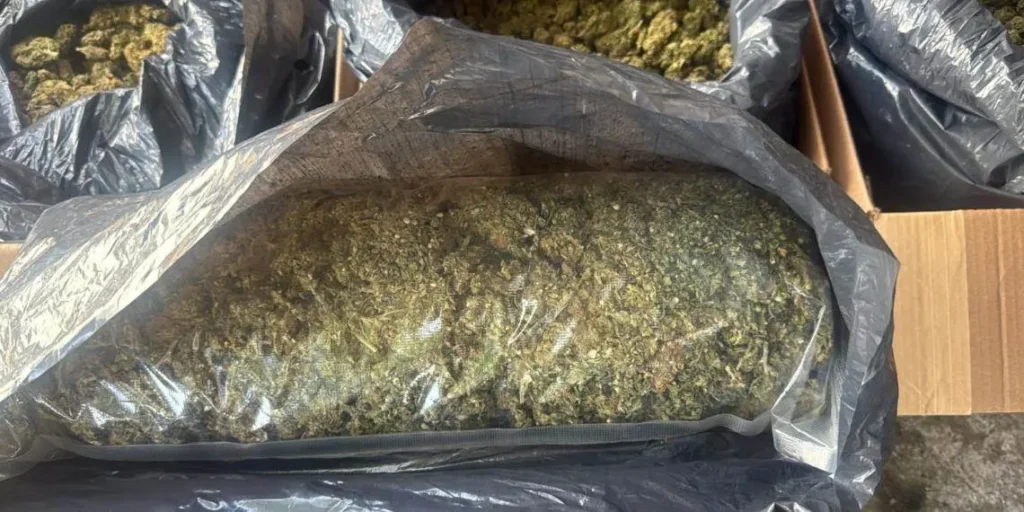 Transporte de 300 Kilos de Marihuana en Huimanguillo